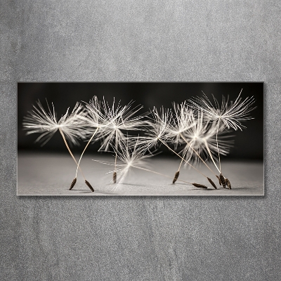 Printed glass wall art Dandelion seeds