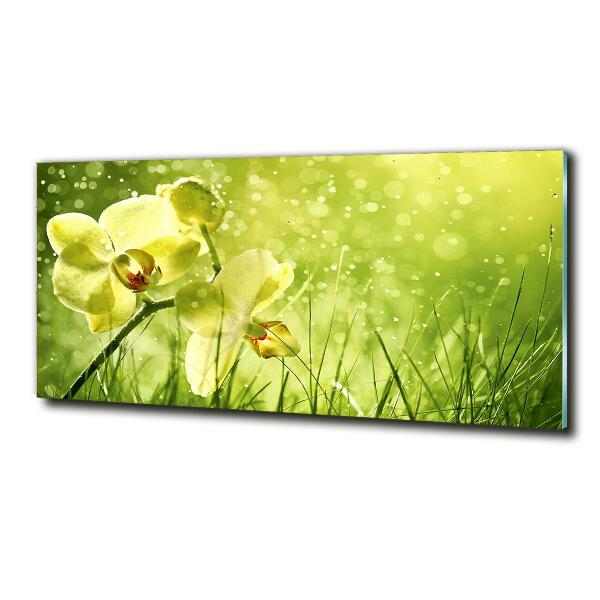 Glass picture wall art Orchid