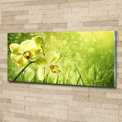 Glass picture wall art Orchid