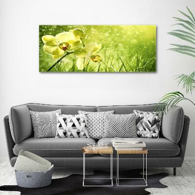 Glass picture wall art Orchid