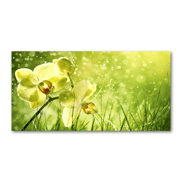 Glass picture wall art Orchid