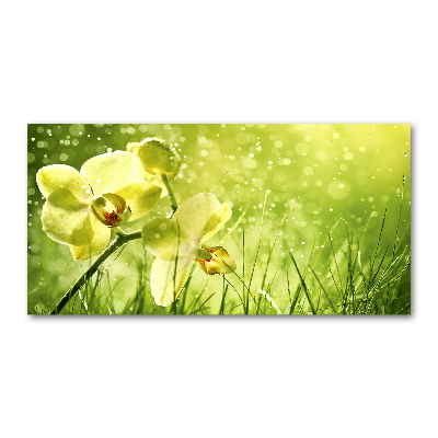 Glass picture wall art Orchid