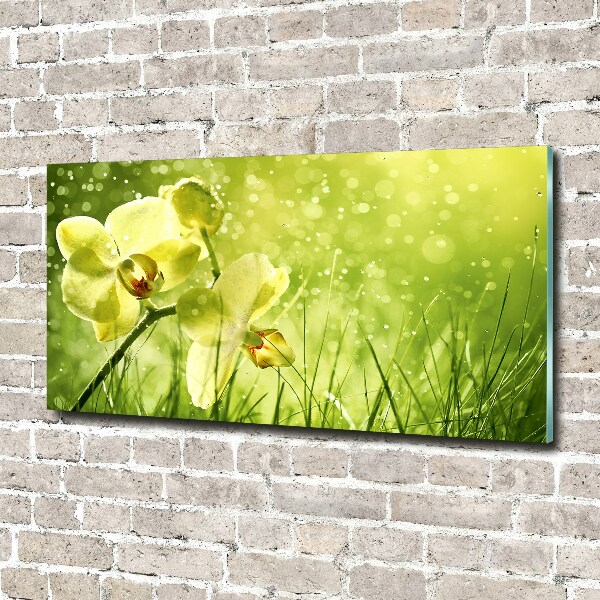 Glass picture wall art Orchid