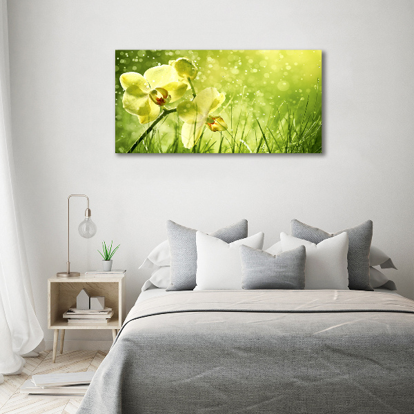 Glass picture wall art Orchid