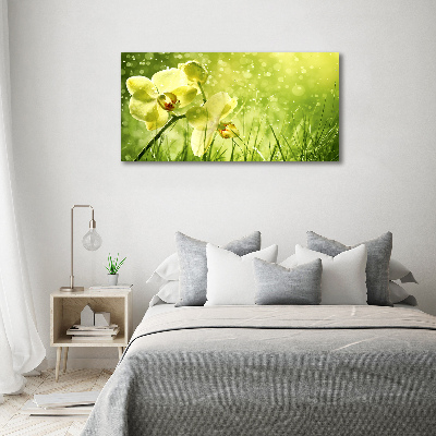 Glass picture wall art Orchid