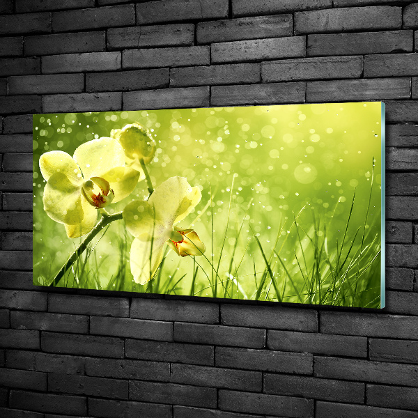 Glass picture wall art Orchid