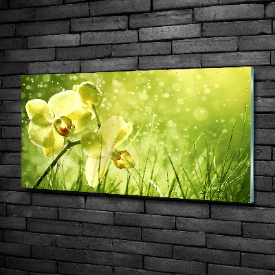 Glass picture wall art Orchid