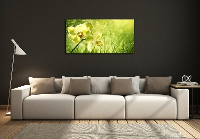 Glass picture wall art Orchid