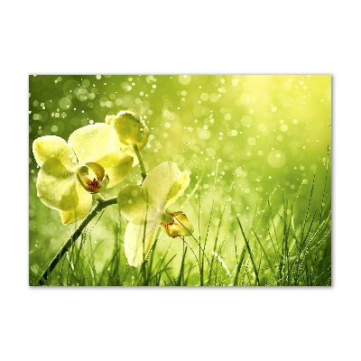 Glass picture wall art Orchid