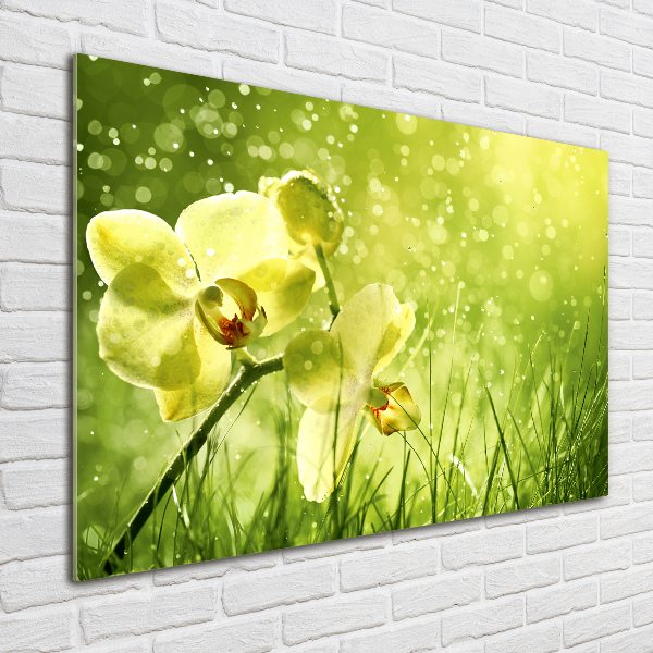 Glass picture wall art Orchid