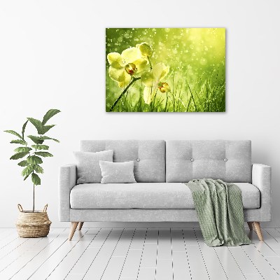 Glass picture wall art Orchid