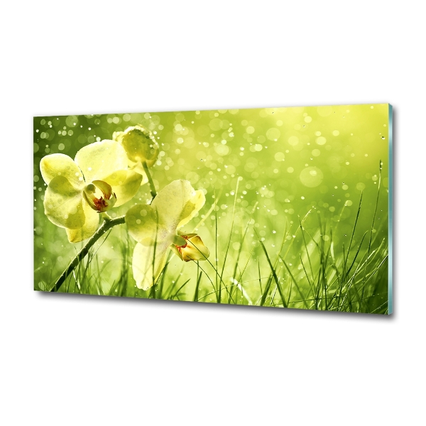 Glass picture wall art Orchid