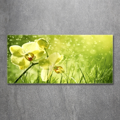 Glass picture wall art Orchid