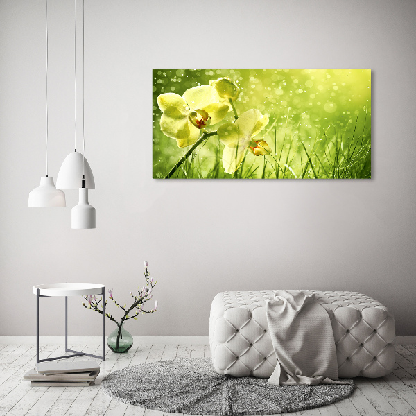 Glass picture wall art Orchid