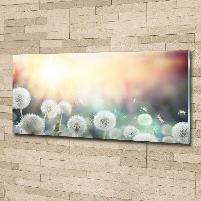 Printed glass wall art Dandelis pole