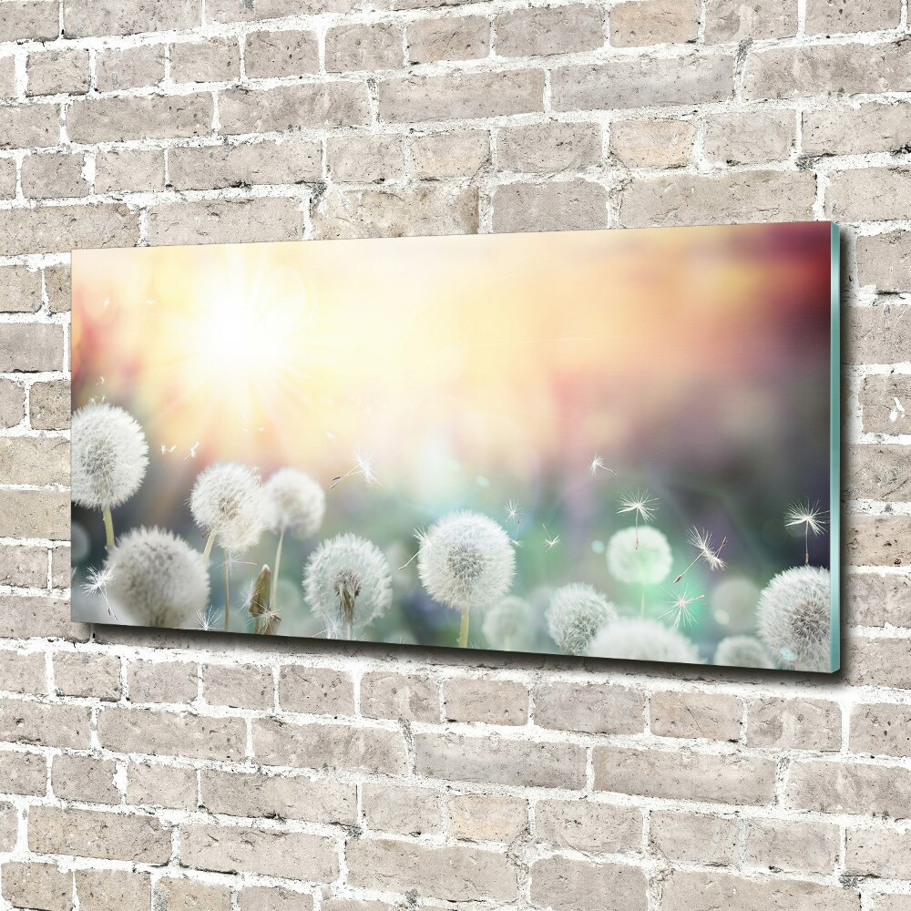 Printed glass wall art Dandelis pole