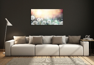 Printed glass wall art Dandelis pole