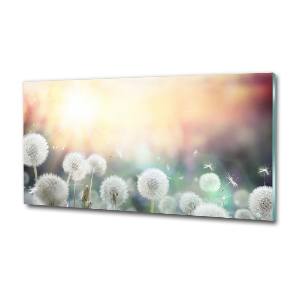 Printed glass wall art Dandelis pole