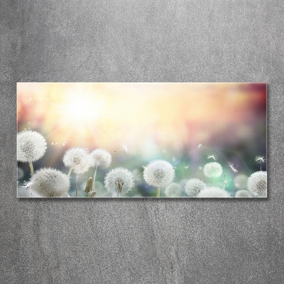 Printed glass wall art Dandelis pole