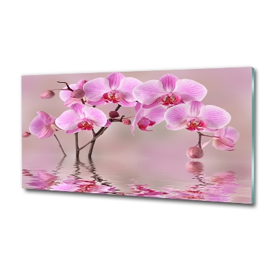 Printed glass wall art Pink orchid