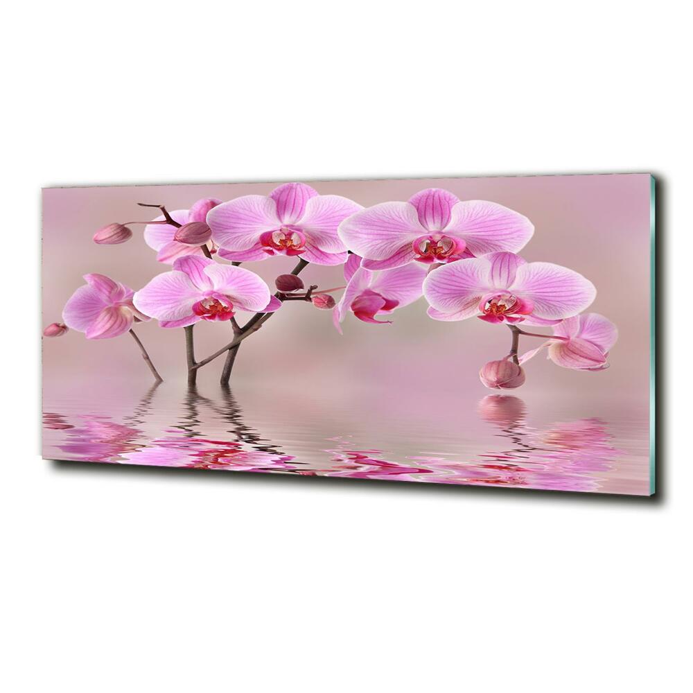 Printed glass wall art Pink orchid