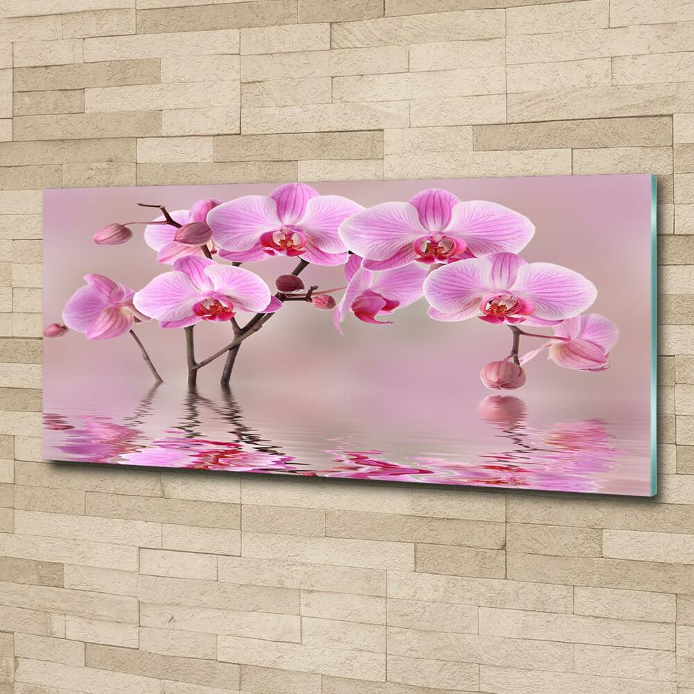 Printed glass wall art Pink orchid