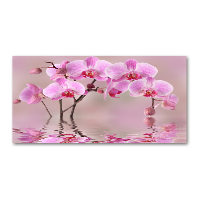 Printed glass wall art Pink orchid