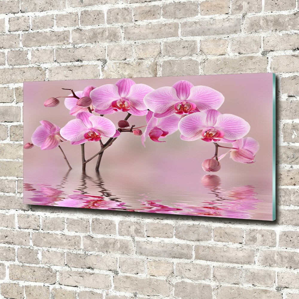 Printed glass wall art Pink orchid