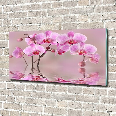 Printed glass wall art Pink orchid