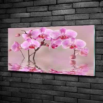 Printed glass wall art Pink orchid