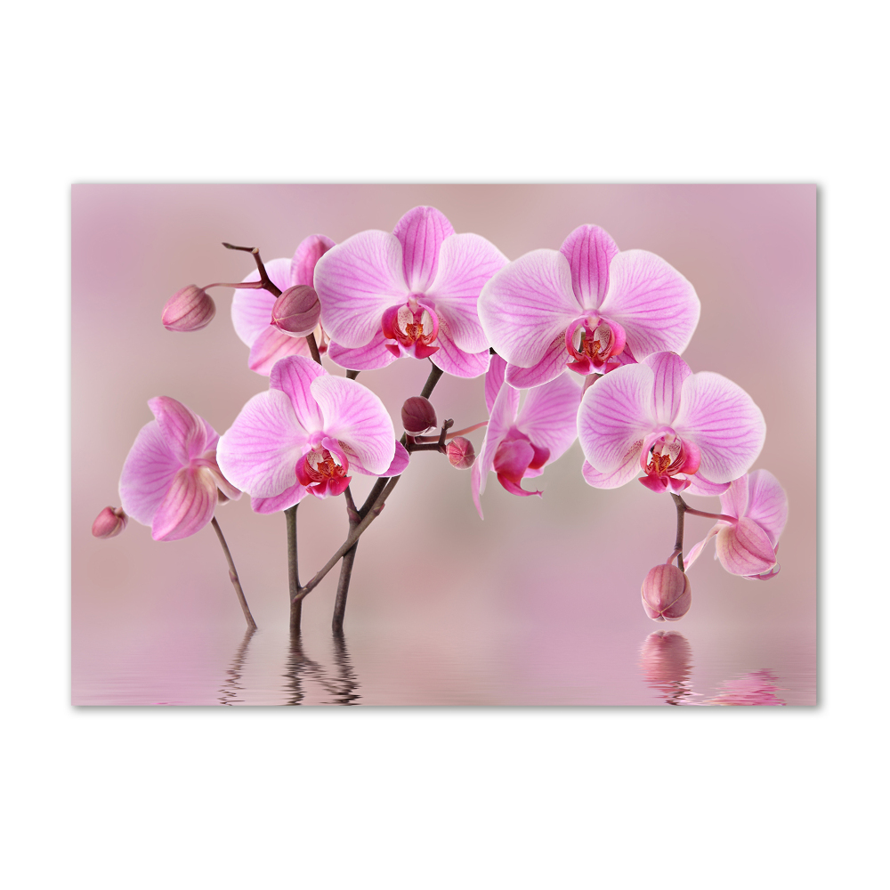 Printed glass wall art Pink orchid