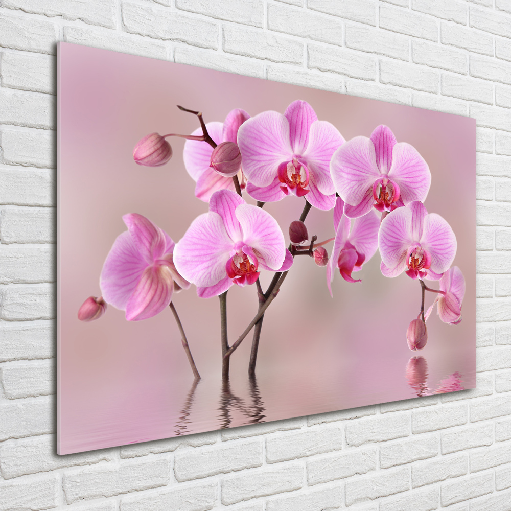 Printed glass wall art Pink orchid