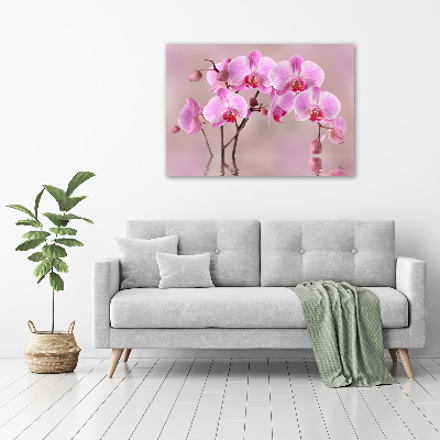 Printed glass wall art Pink orchid