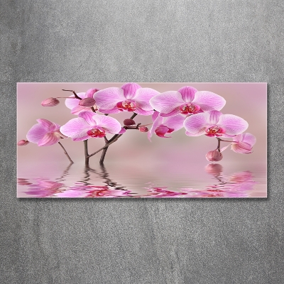 Printed glass wall art Pink orchid