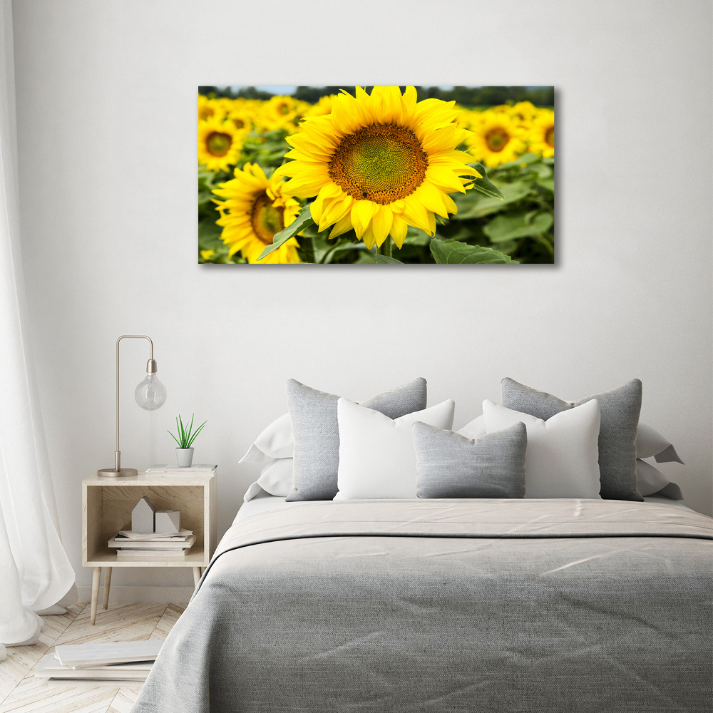 Glass picture wall art Sunflower field