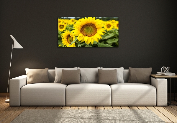 Glass picture wall art Sunflower field