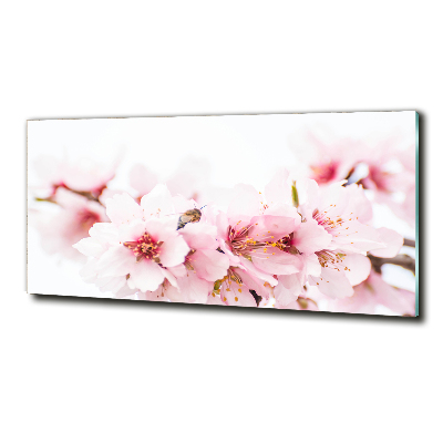 Glass picture wall art Cherry blossoms