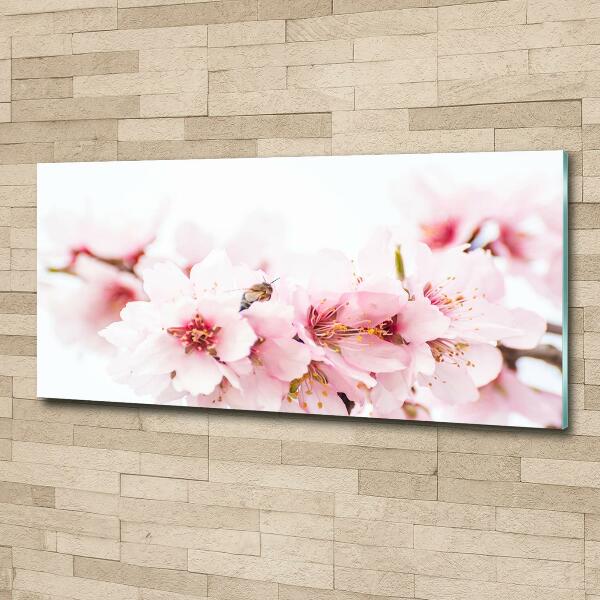 Glass picture wall art Cherry blossoms