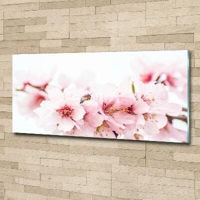 Glass picture wall art Cherry blossoms