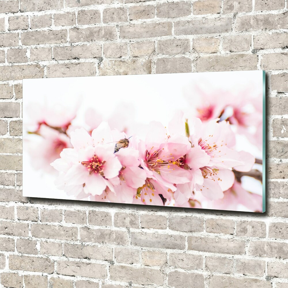 Glass picture wall art Cherry blossoms