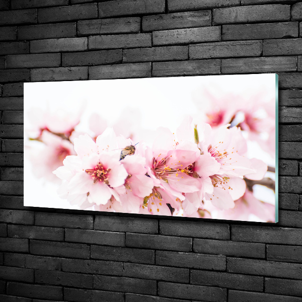 Glass picture wall art Cherry blossoms