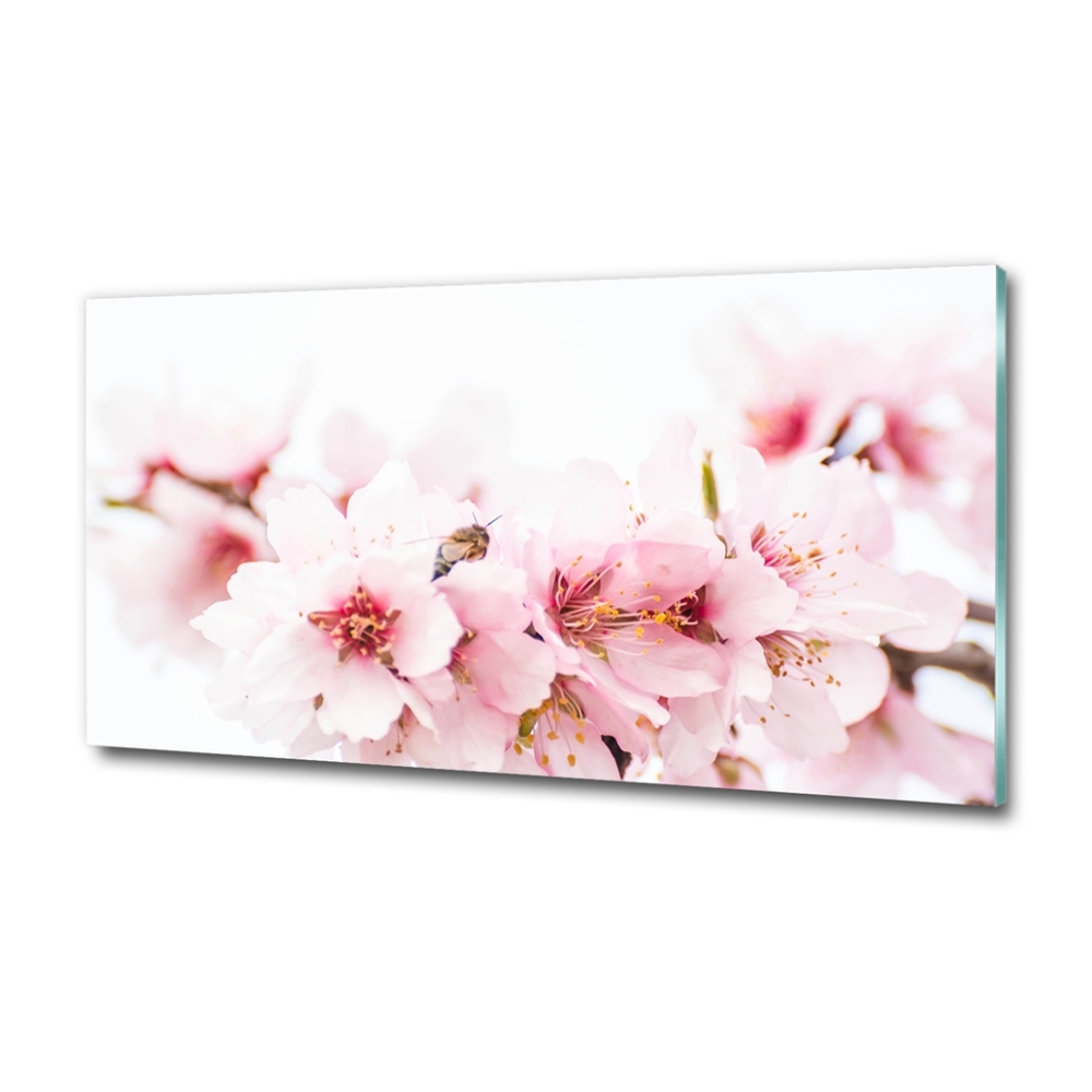 Glass picture wall art Cherry blossoms