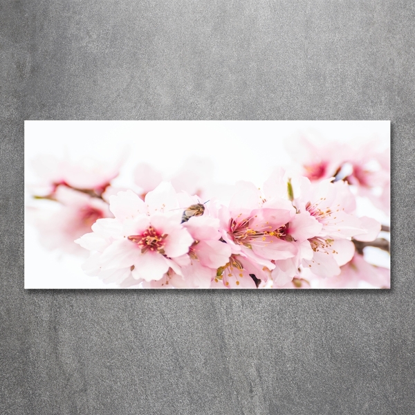 Glass picture wall art Cherry blossoms