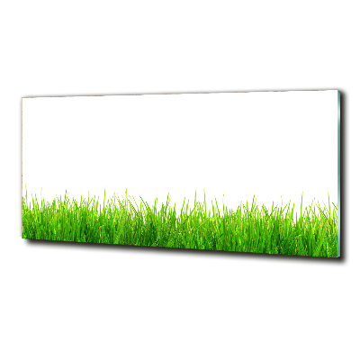 Glass picture wall art Grass