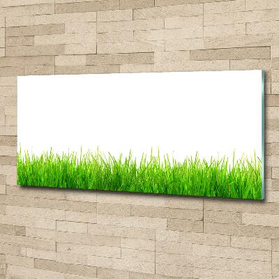 Glass picture wall art Grass