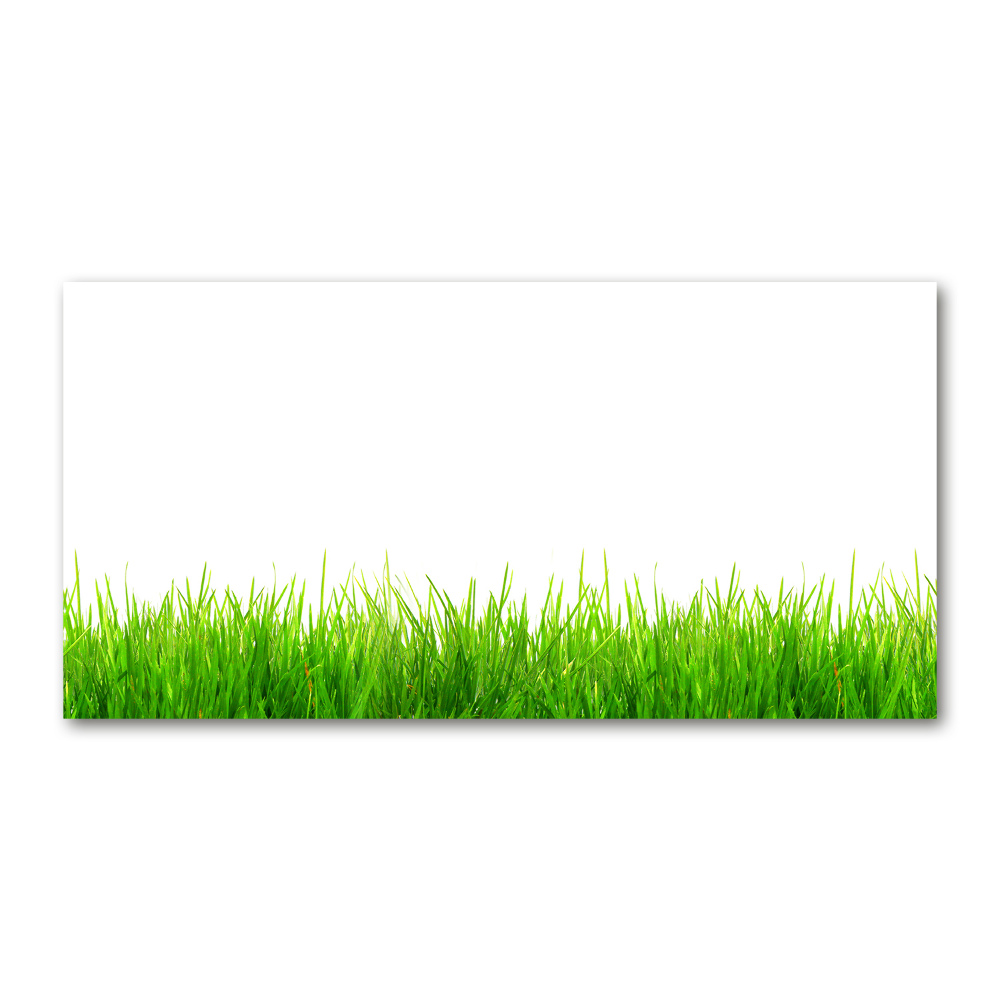 Glass picture wall art Grass