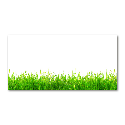 Glass picture wall art Grass