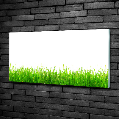 Glass picture wall art Grass