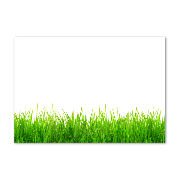 Glass picture wall art Grass