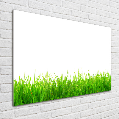 Glass picture wall art Grass